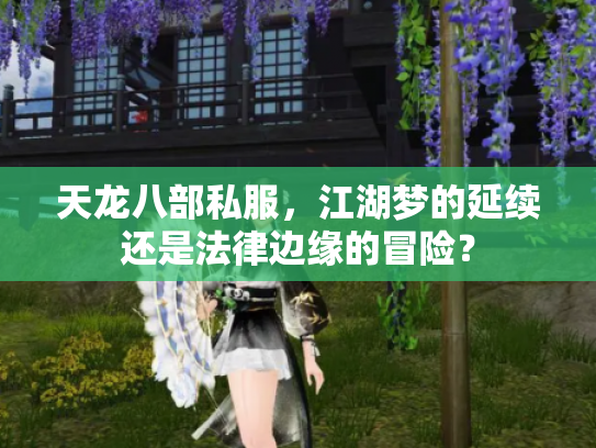 天龙八部私服，江湖梦的延续还是法律边缘的冒险？