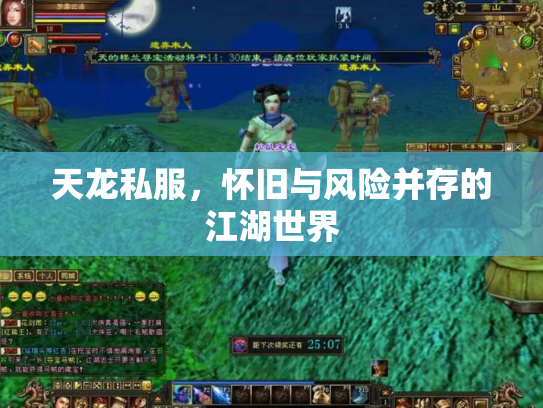 天龙私服，怀旧与风险并存的江湖世界