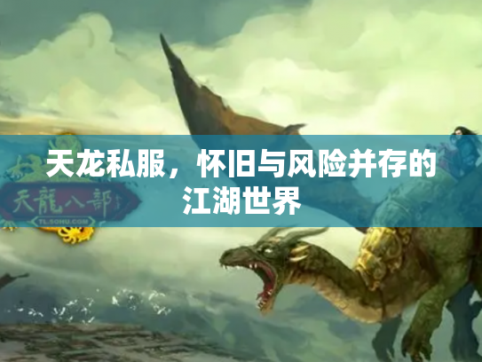 天龙私服，怀旧与风险并存的江湖世界