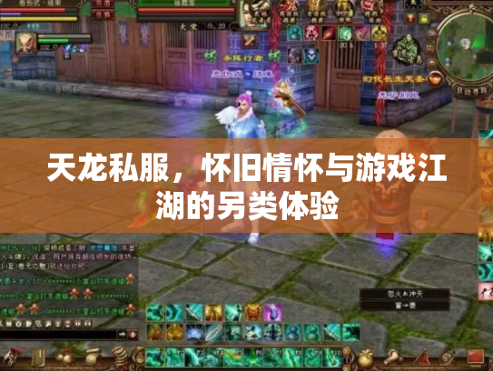 天龙私服，怀旧情怀与游戏江湖的另类体验
