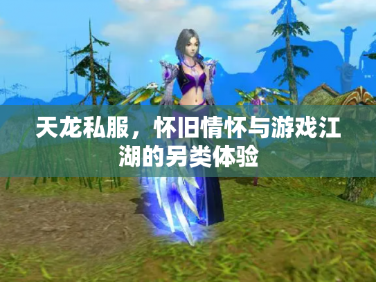 天龙私服，怀旧情怀与游戏江湖的另类体验