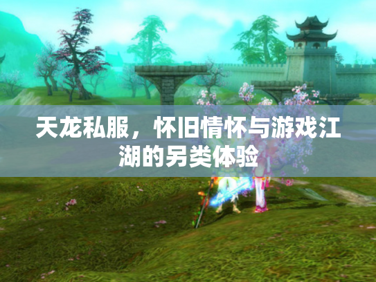 天龙私服，怀旧情怀与游戏江湖的另类体验
