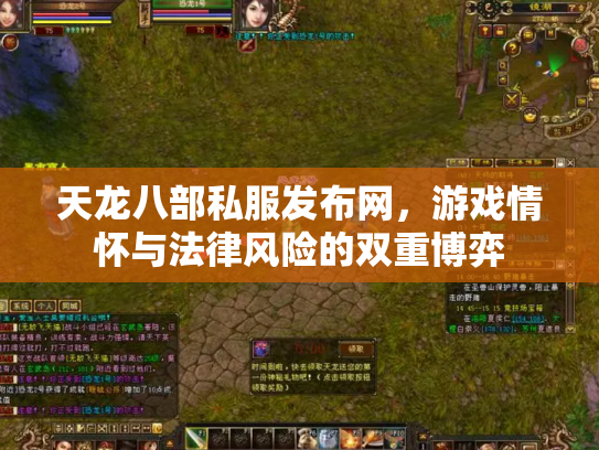天龙八部私服发布网，游戏情怀与法律风险的双重博弈