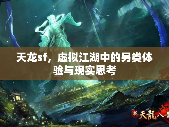 天龙sf，虚拟江湖中的另类体验与现实思考