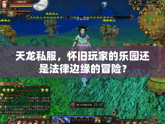 天龙私服，怀旧玩家的乐园还是法律边缘的冒险？