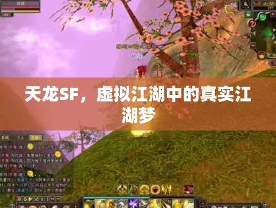 天龙SF，虚拟江湖中的真实江湖梦
