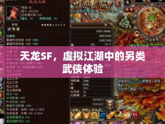 天龙SF，虚拟江湖中的另类武侠体验