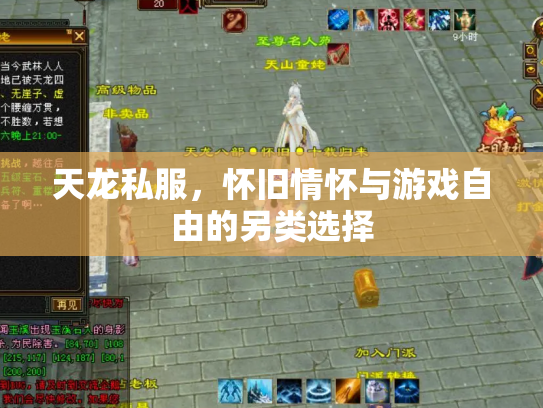 天龙私服，怀旧情怀与游戏自由的另类选择