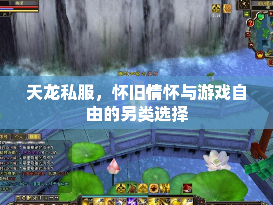 天龙私服，怀旧情怀与游戏自由的另类选择