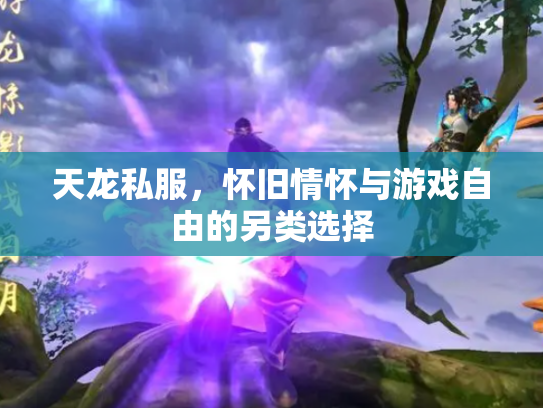 天龙私服，怀旧情怀与游戏自由的另类选择