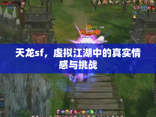 天龙sf，虚拟江湖中的真实情感与挑战