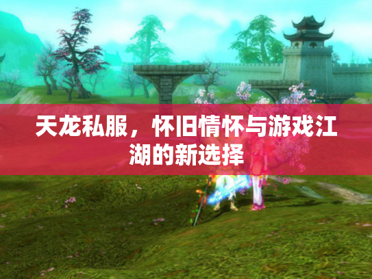天龙私服，怀旧情怀与游戏江湖的新选择