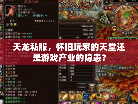 天龙私服，怀旧玩家的天堂还是游戏产业的隐患？