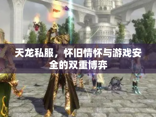 天龙私服，怀旧情怀与游戏安全的双重博弈