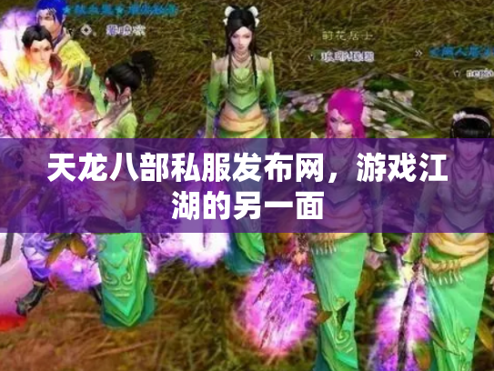 天龙八部私服发布网，游戏江湖的另一面