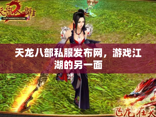 天龙八部私服发布网，游戏江湖的另一面