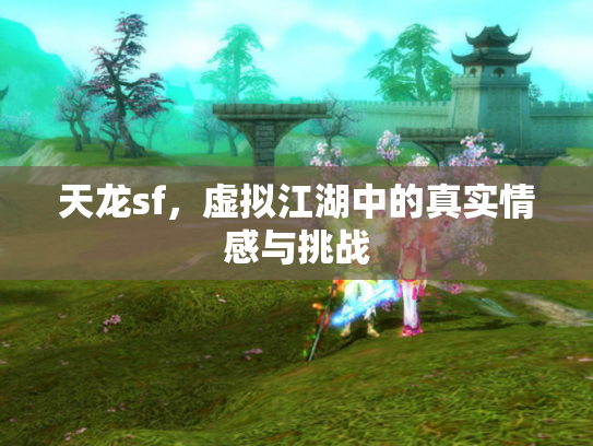 天龙sf，虚拟江湖中的真实情感与挑战
