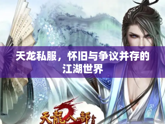 天龙私服，怀旧与争议并存的江湖世界