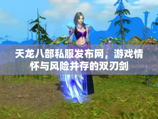 天龙八部私服发布网，游戏情怀与风险并存的双刃剑