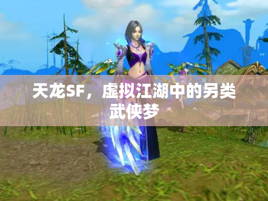 天龙SF，虚拟江湖中的另类武侠梦