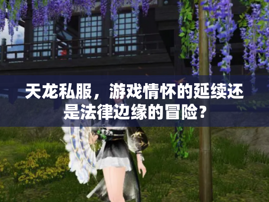 天龙私服，游戏情怀的延续还是法律边缘的冒险？