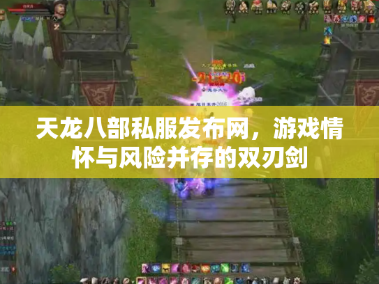 天龙八部私服发布网，游戏情怀与风险并存的双刃剑
