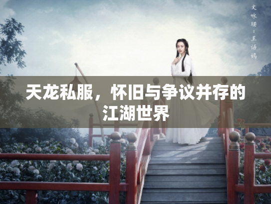 天龙私服，怀旧与争议并存的江湖世界