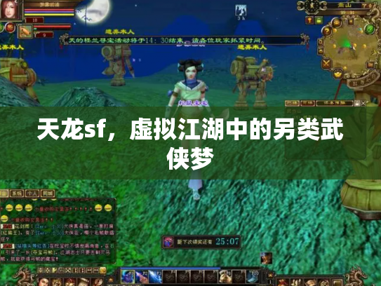 天龙sf，虚拟江湖中的另类武侠梦