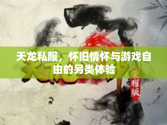 天龙私服，怀旧情怀与游戏自由的另类体验