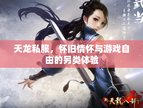 天龙私服，怀旧情怀与游戏自由的另类体验