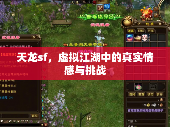 天龙sf，虚拟江湖中的真实情感与挑战