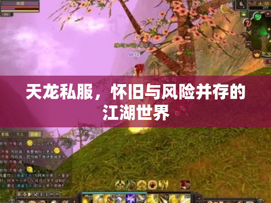 天龙私服，怀旧与风险并存的江湖世界