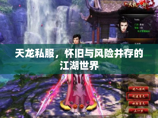 天龙私服，怀旧与风险并存的江湖世界