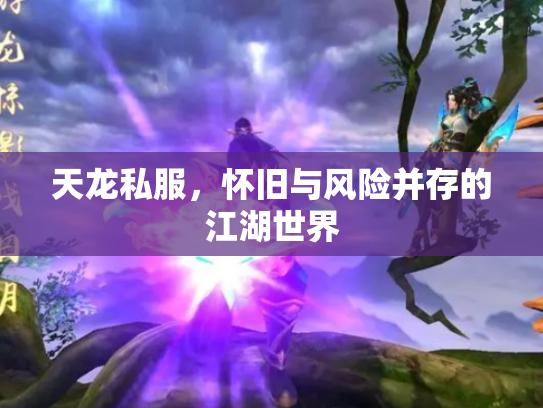 天龙私服，怀旧与风险并存的江湖世界