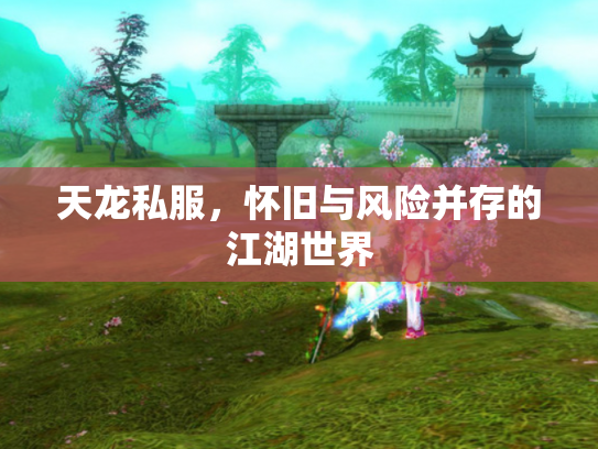 天龙私服，怀旧与风险并存的江湖世界