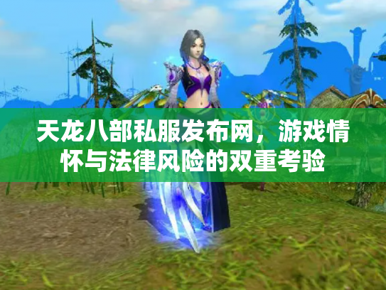 天龙八部私服发布网，游戏情怀与法律风险的双重考验