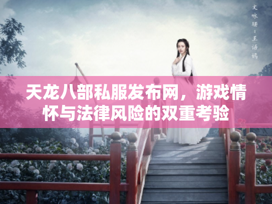 天龙八部私服发布网，游戏情怀与法律风险的双重考验