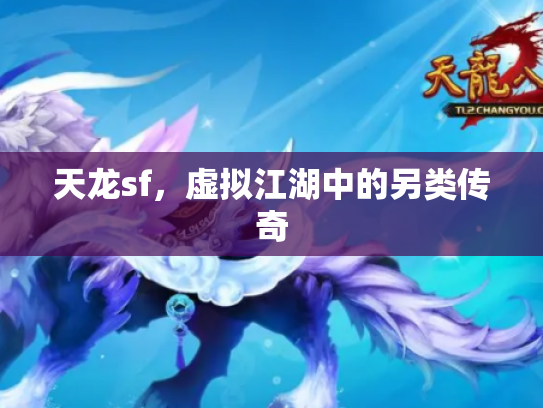 天龙sf，虚拟江湖中的另类传奇