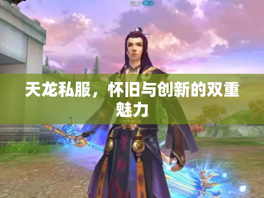 天龙私服，怀旧与创新的双重魅力