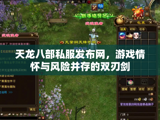 天龙八部私服发布网，游戏情怀与风险并存的双刃剑