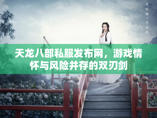 天龙八部私服发布网，游戏情怀与风险并存的双刃剑