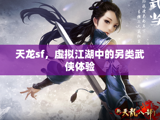 天龙sf，虚拟江湖中的另类武侠体验