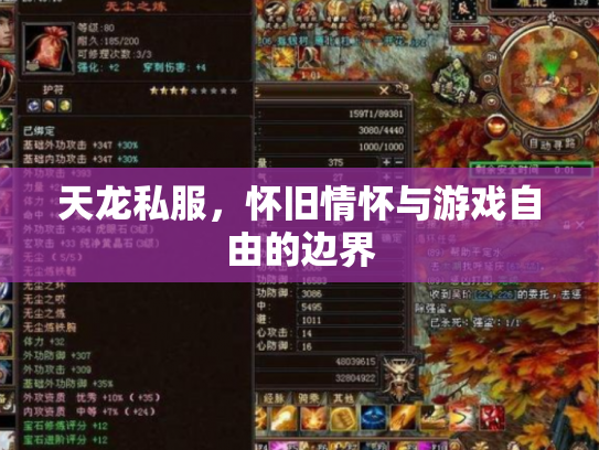 天龙私服，怀旧情怀与游戏自由的边界