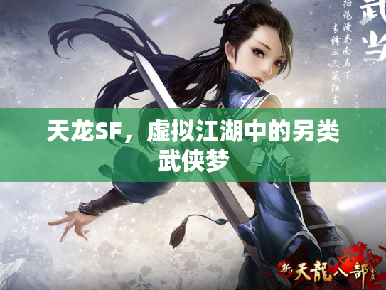 天龙SF，虚拟江湖中的另类武侠梦