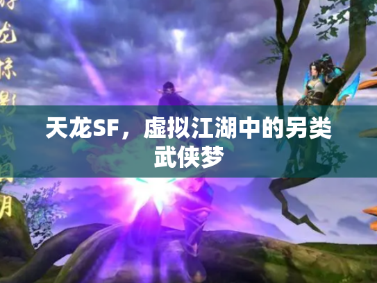 天龙SF，虚拟江湖中的另类武侠梦
