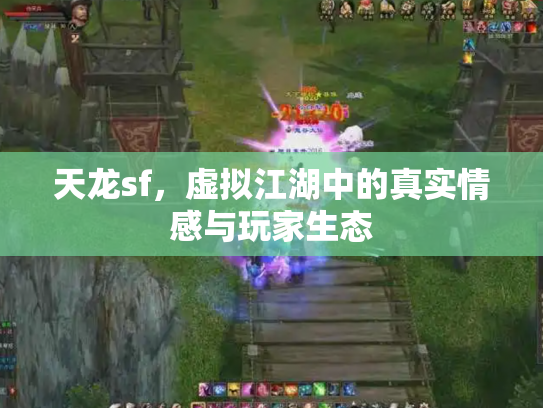 天龙sf，虚拟江湖中的真实情感与玩家生态