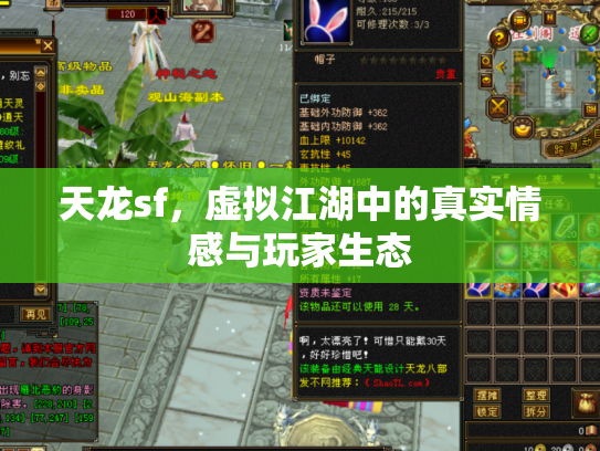 天龙sf，虚拟江湖中的真实情感与玩家生态
