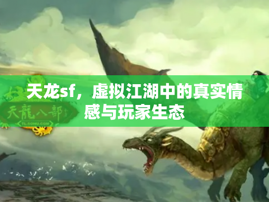 天龙sf，虚拟江湖中的真实情感与玩家生态