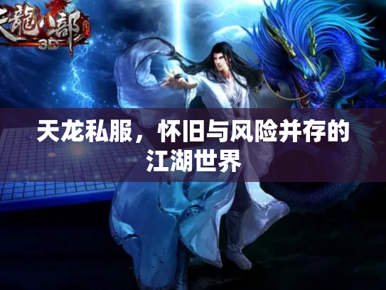 天龙私服，怀旧与风险并存的江湖世界