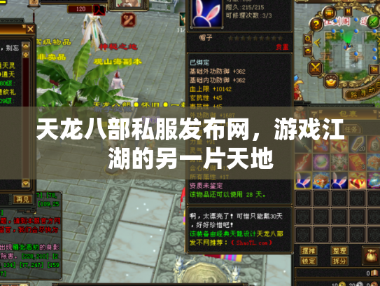 天龙八部私服发布网，游戏江湖的另一片天地